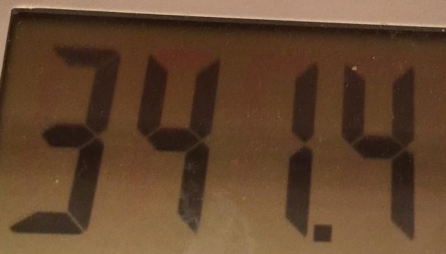 Big D Weight Loss Update: 5 weeks